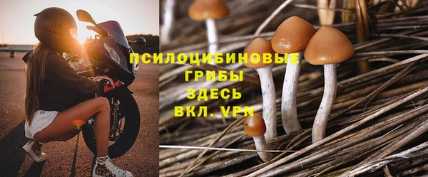 СК Кинешма