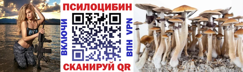 Галлюциногенные грибы GOLDEN TEACHER  Киренск 