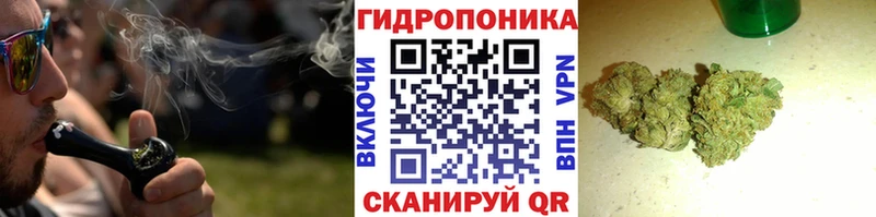 Марихуана план  наркошоп  Киренск 